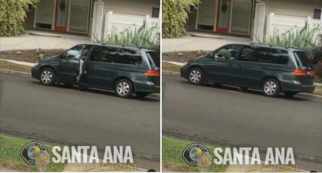 O.C. woman who lured puppy with food to run him over was caught on video, federal prosecutors say